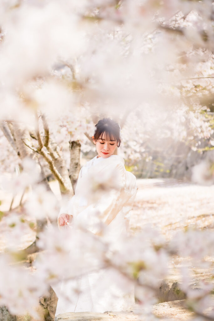 2024桜前撮り岡山でのフォトウェディング桜の季節情報