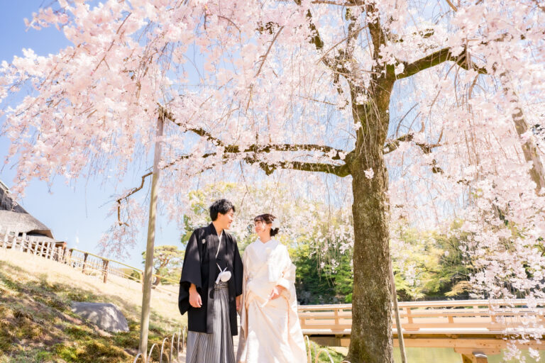 2024桜前撮り岡山でのフォトウェディングならネムラフィルムズソメイヨシノ桜049