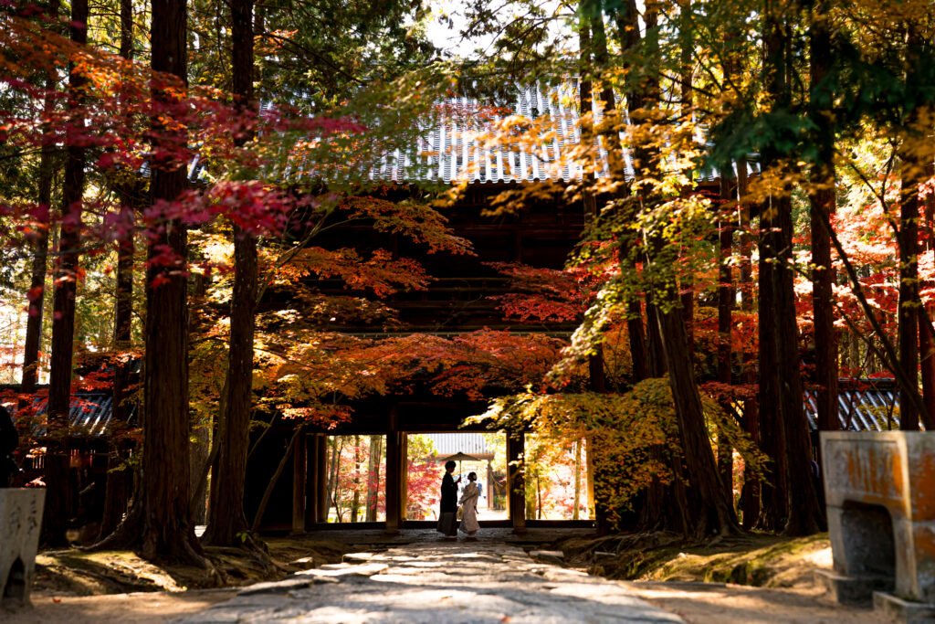 撮りフォトウェディング岡山での10月に撮影された紅葉時期の実際の写真お日にち選びの参考に071