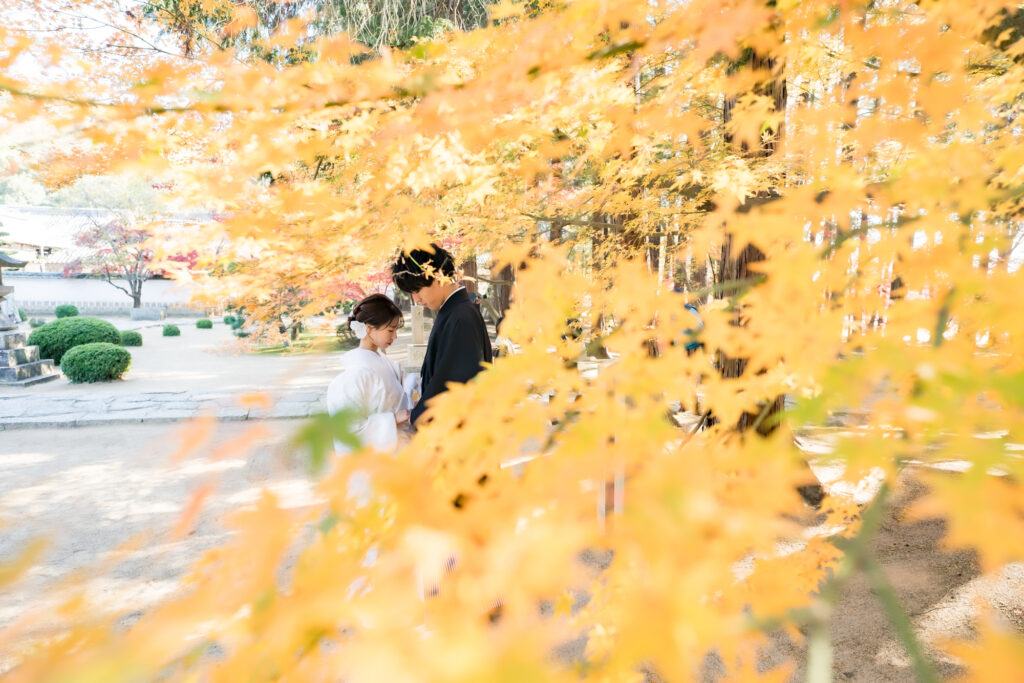 撮りフォトウェディング岡山での10月に撮影された紅葉時期の実際の写真お日にち選びの参考に075