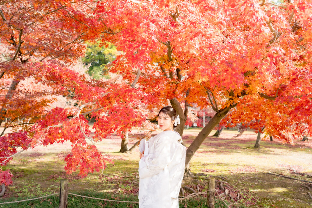 撮りフォトウェディング岡山での10月に撮影された紅葉時期の実際の写真お日にち選びの参考に144