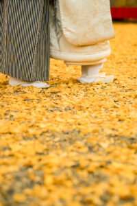 岡山結婚写真前撮りフォトウェディングphotowedding和装もドレスも格安OKネムラフィルムズ024