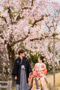 オールインクルーシブ岡山でお得にフォトウェディングや前撮りについてこだわりの人気シーズン２０２６桜岡山後楽園シダレサクラ