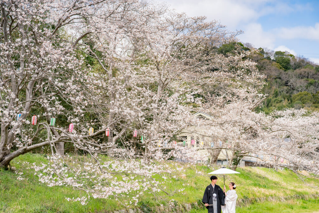 オールインクルーシブ岡山でお得にフォトウェディングや前撮りについてこだわりの人気シーズン２０２６桜6近水園外苑