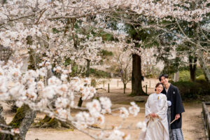 オールインクルーシブ岡山でお得にフォトウェディングや前撮りについてこだわりの人気シーズン２０２６桜8近水園園内
