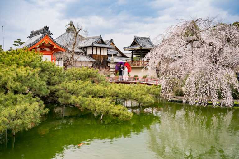 岡山の前撮りフォトウェディングに役立つ最新情報桜の開花予想