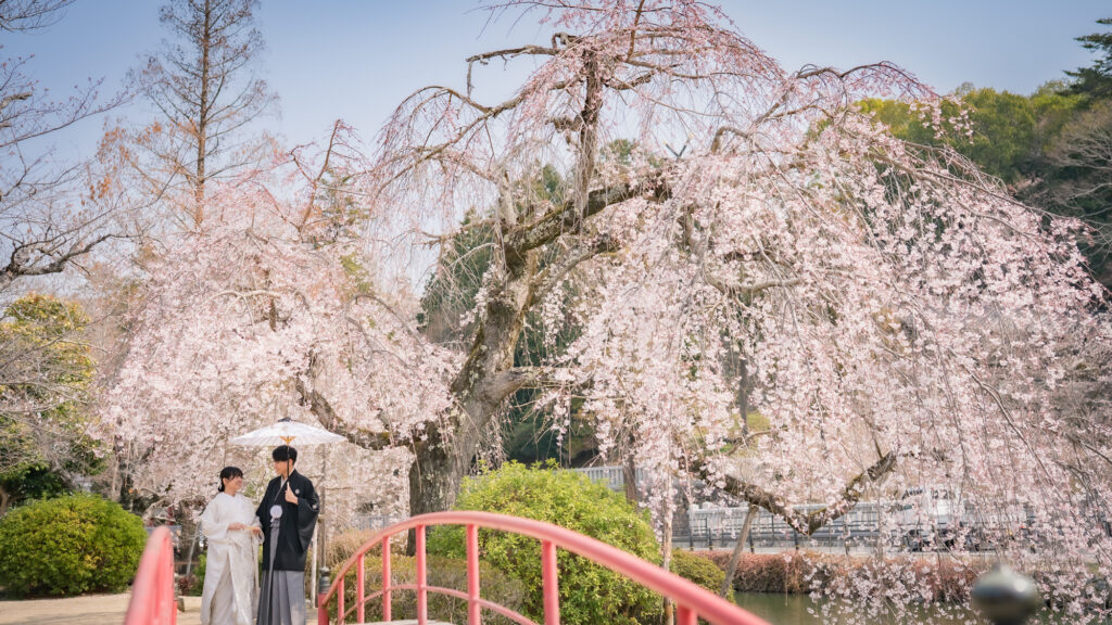 岡山で結婚式の前撮りフォトウェディングプロカメラマン目線で新緑の魅力をご紹介0001-89