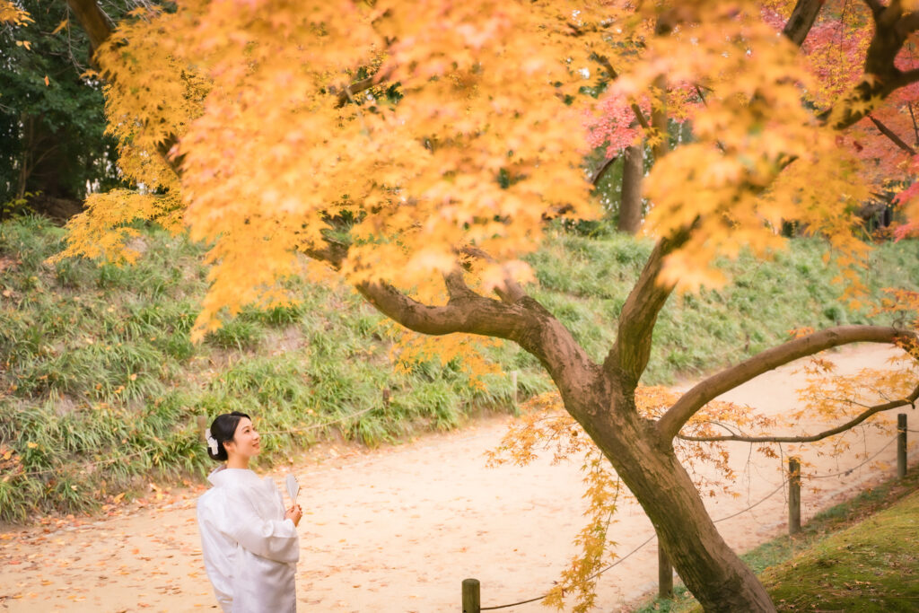 岡山での紅葉前撮りウェディングフォトはいつまで撮影できるのか実際に撮影された写真を日付別に紹介11