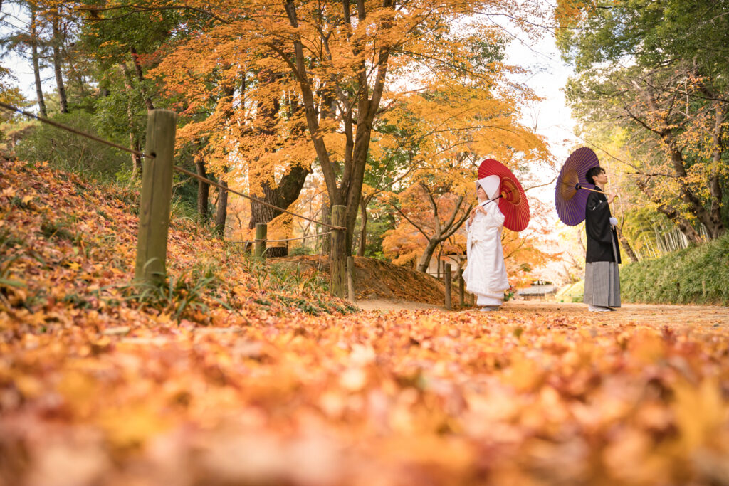 岡山後楽園での紅葉前撮りウェディングフォトはいつまで撮影できるのか実際に撮影された写真を日付別に紹介31
