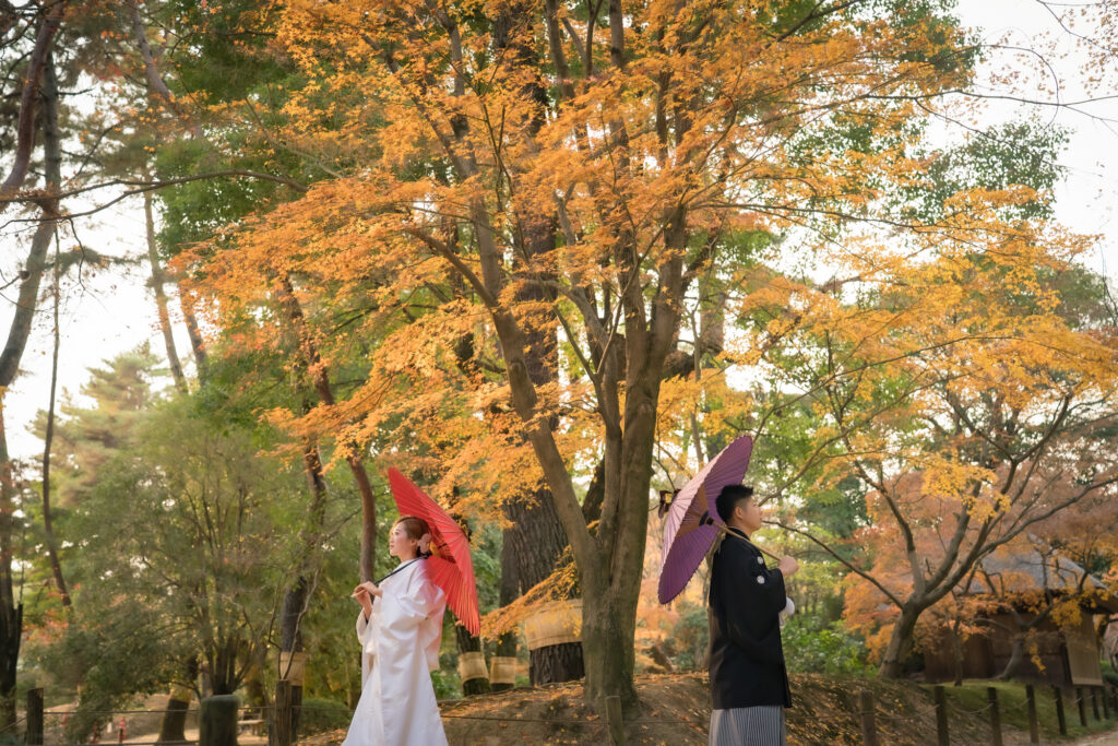 圧倒的情報量岡山後楽園での紅葉前撮りウェディングフォトはいつまで撮影できるのか実際に撮影された写真を日付別に紹介52